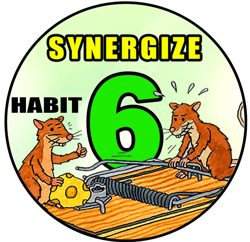 Habit 6 Hati Suci Sacred Heart